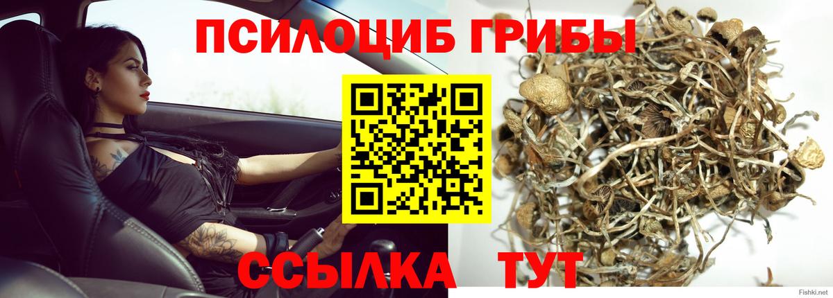 МЕФ кристаллы  Конопля  Вход с VPN  COCAIN  Выкса  ГАШИШ  МДМА 